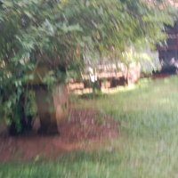 LAND FOR SALE IN PANNIPITIYA