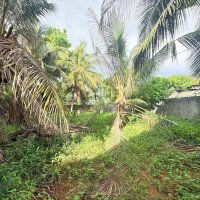 LAND FOR SALE (ARALIYA GARDEN, JA ELA)